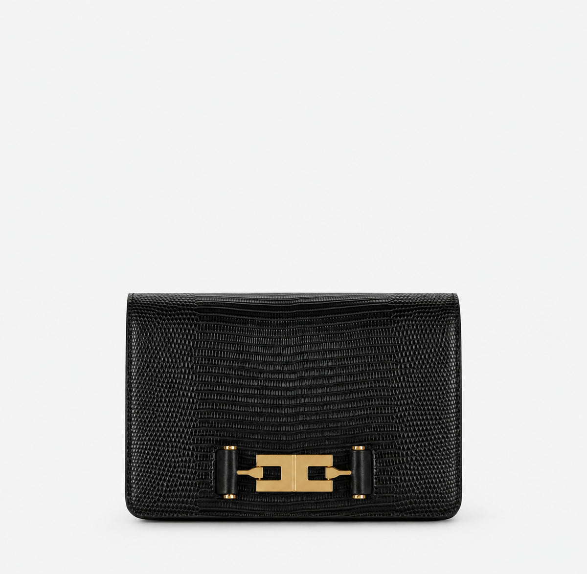 elisabetta franchi BS09A66E2 borsa